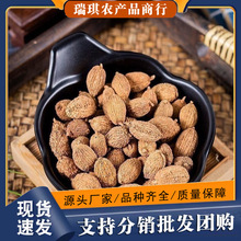 砂仁中药材阳春砂仁毛砂仁粉食用沙仁香料调料煲汤泡水500g批发