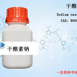 生化试剂 干酪素钠 国产25g 100g  9005-46-3 实验试剂