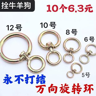 ��\�f�����D�h8���D�h˨��˨ţ�FȦ�h�۷��p�@�hţ�\�^�����Bֳ