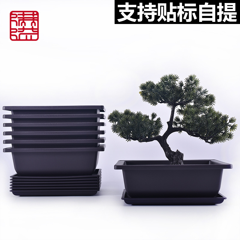 Imitation Purple Sand Fleshy Flower Pot Square Rectangular Thickened Plastic Flower Pot Small Potted Plant Small Bonsai Planting Pot