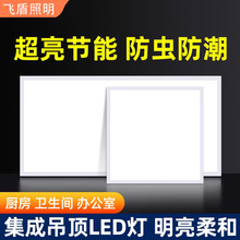 平板灯led面板灯厨房灯300600集成吊顶灯扣板灯卫生间灯防水