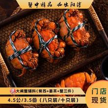 阳淳牌大闸蟹4.5公/3.5母礼盒装四对八只/五对十只装全国发货