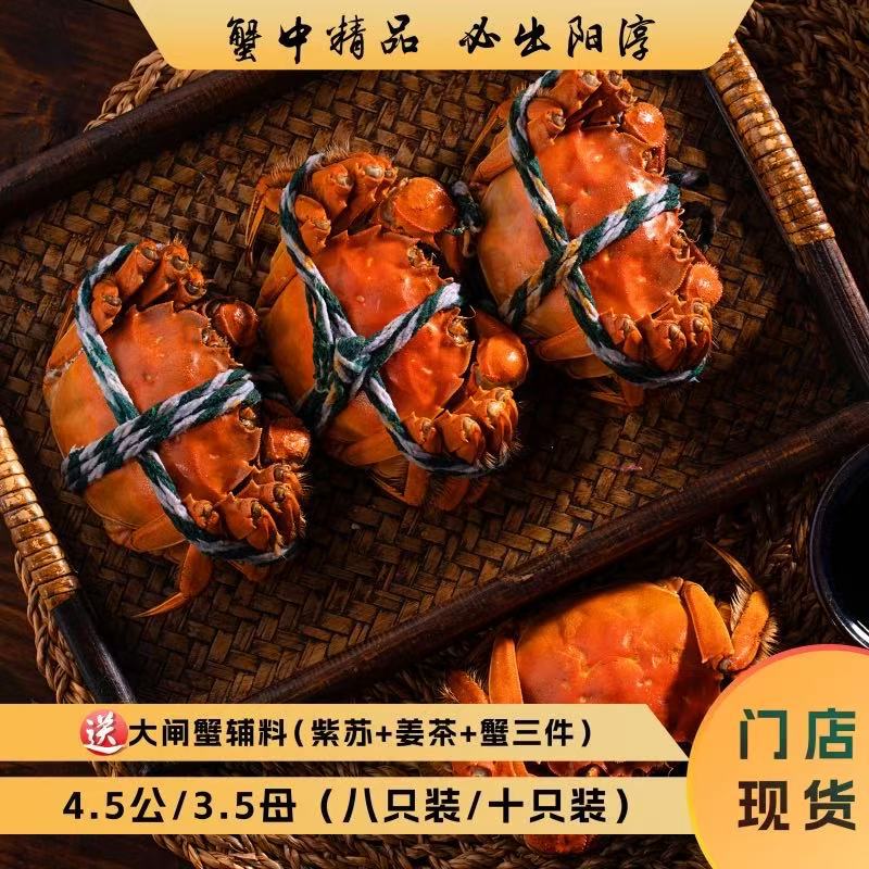 阳淳牌大闸蟹4.5公/3.5母礼盒装四对八只/五对十只装全国发货