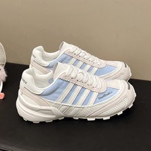 ӖЬŮߺ׾W͸WЬ2025ļe\ӰЬ