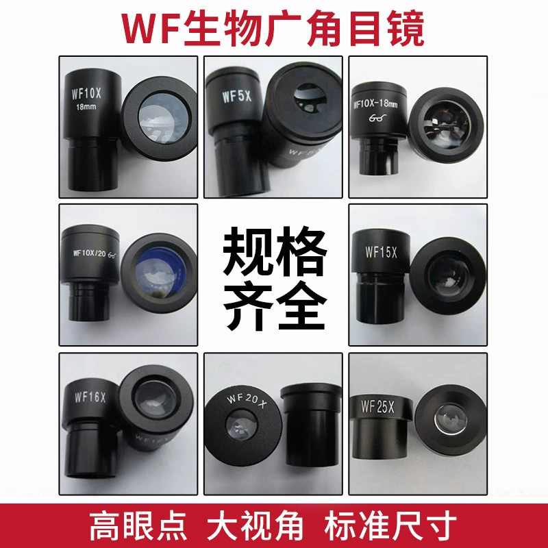 Биологический окуляр WF10X широкоугольный окуляр высокая точка глаза большой угол обзора аксессуары для микроскопов производители оптом