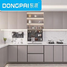 DONGPAI�|��늄�����ˮ���ռ{�@�N�������ǻۏN��������������