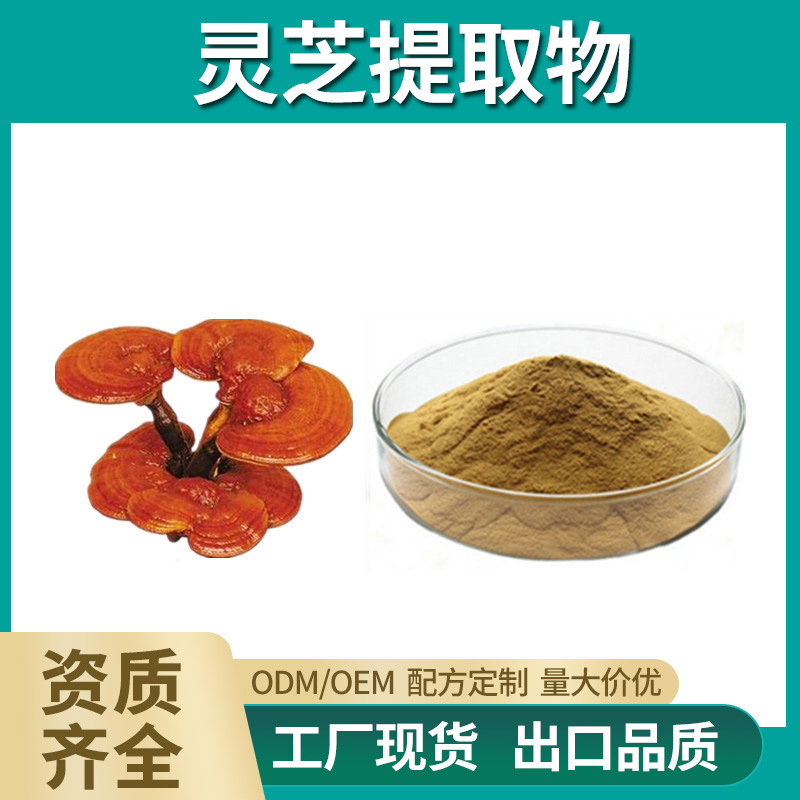 灵芝提取物 10:1 水溶性灵芝粉 灵芝浓缩粉 药食同源 工厂现货