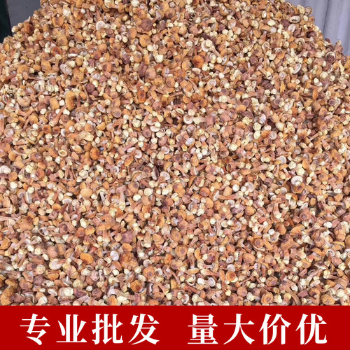 Dried Brazil Mushrooms 500g, Matsutake Mushroom, Hericium erinaceus Soup Pack, Ingredients for Stewed Soup, Wholesale Manufacturer of Matsutake Mushrooms