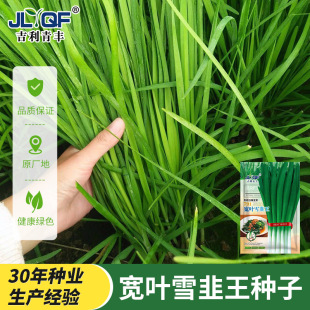 791���~�²˷N��ѩ�²��Ѹ��ļ��������̨���ԷNֲ�͟Ắ�߲˷N