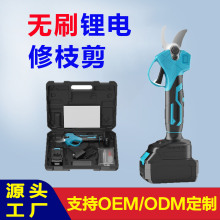 �羳����֦�����@�ֈ@ˇ늼����ֳֳ��ʽ�o����֦���oˢ늼���