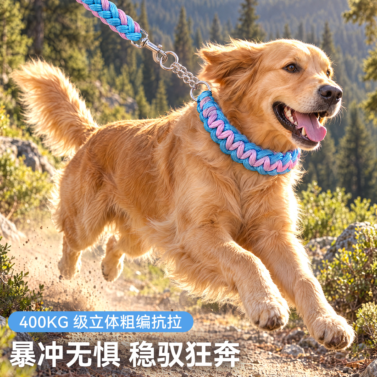 P绳八股麻花牵引绳狗链子中大型犬金毛拉布拉多遛狗绳 宠物牵引绳