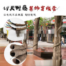 ���ϸɘ�֦늾����@��ľ���ٗl�bܷ�Ƥ������Ę��ٴ�����