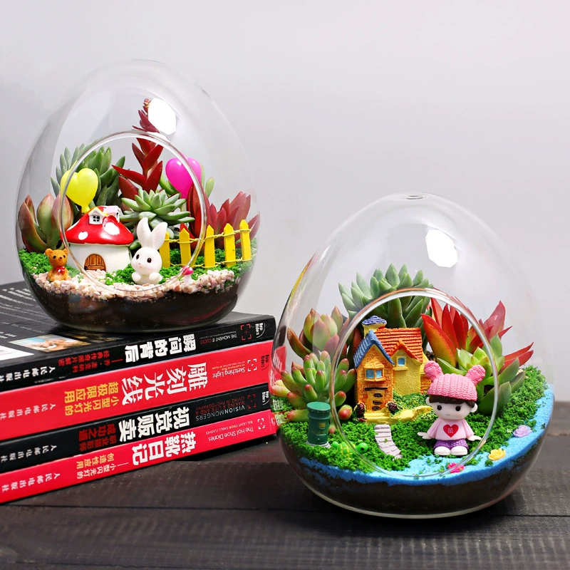 Большая бутылка для яиц мясистое экологическое стекло микро пейзаж DIY Материал Пакет настольный мини зеленое растение цветок маленькое растение в горшке