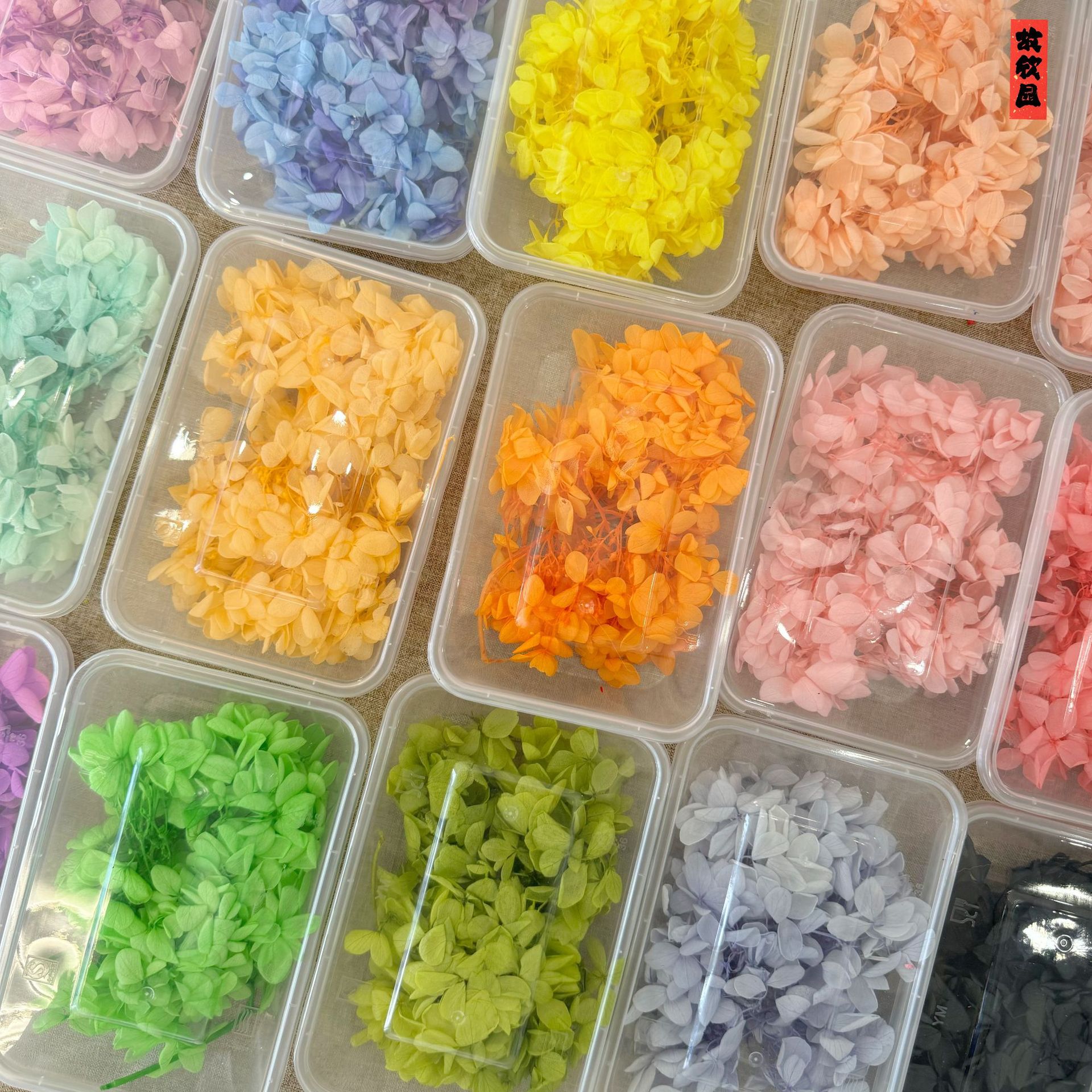 Bulk wooden hydrangea eternal flower material package wholesale pagoda hydrangea middle hydrangea gift box floating bottle decorative flower material