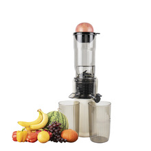 定制慢速榨汁机冷榨便宜紧凑高质量水果榨汁机