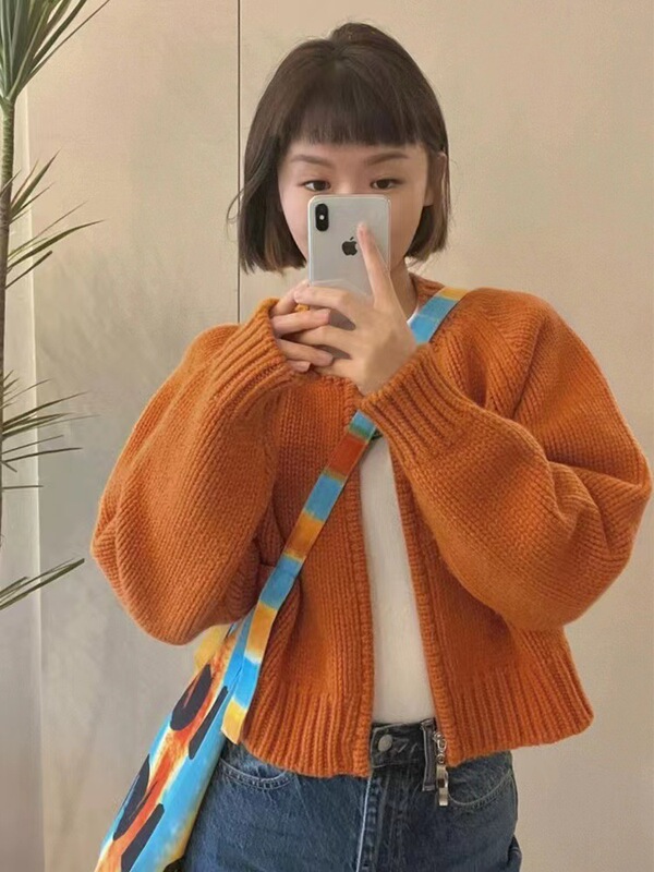 2025秋冬新款宽松灰色短款毛衣外套女装加厚拉链长袖针织开衫上衣|undefined