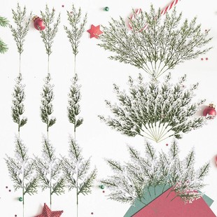 ���R�d���� �}�Q��ĭ���֦ ����Gֲ����ѩ����֦��֦�}�Q���b�