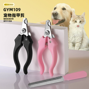 �S�����l ���P䓌���ָ�׼����l����ָ���Q ؈��ָ�׵�������Ʒ