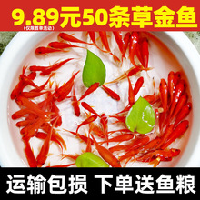 �ݼt���ͻ�С���J���~�w�B����ˮ�^�p�~��Ͻ��~�a�~����B��ˮ�~