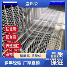 厂家直销小鸡阳台网防坠网鹅塑料网养殖网围栏网育雏鸡笼