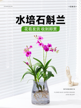 ˮ��ʯ���m���Ԏ���������ɫ����ֲ���҃Ȼ��������̨���F�m��