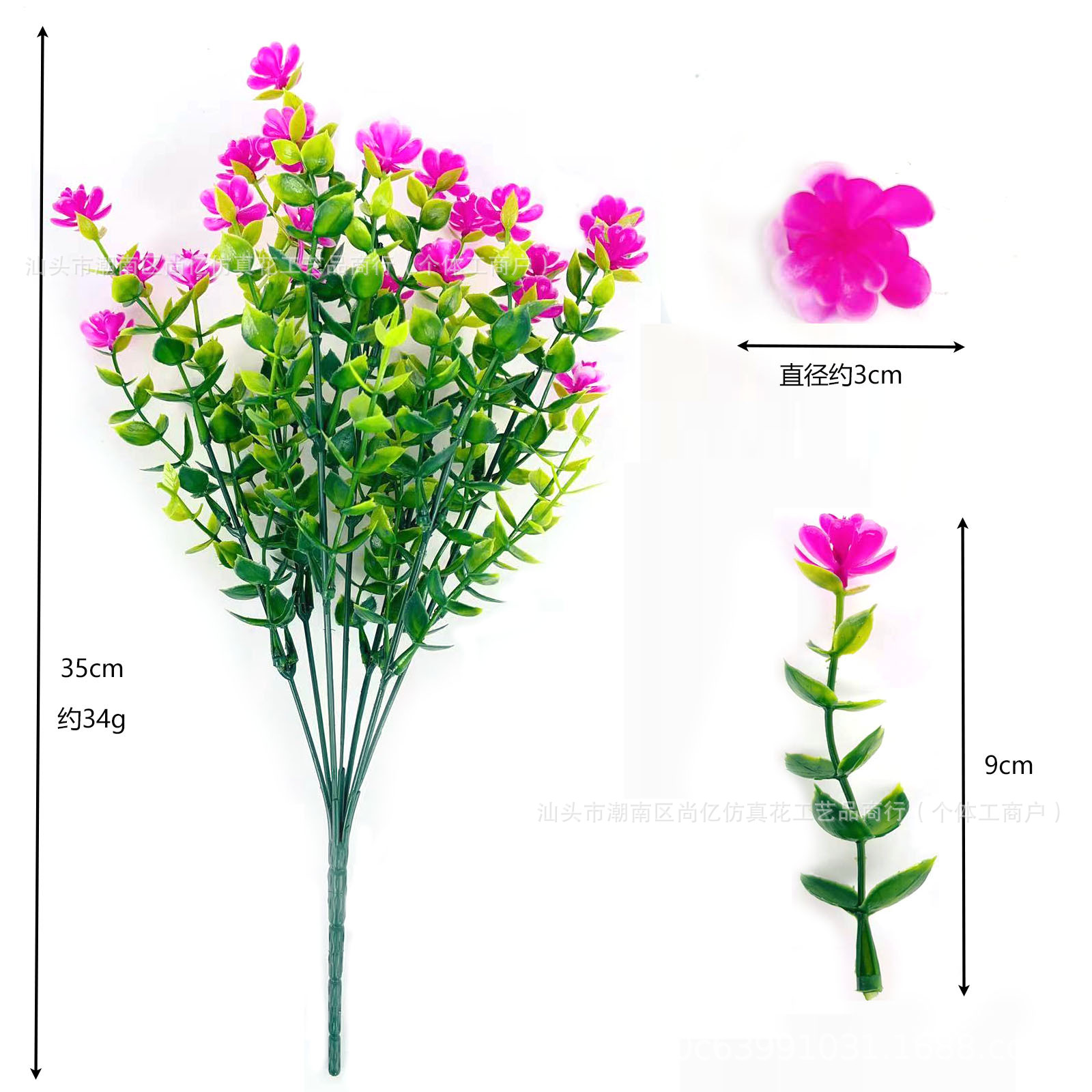 Camellia de Yugaly - Lotus