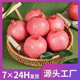 仿真果蔬;食物工艺品;其他工艺品