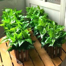 假花花摆件植物绿萝草塑料插花束套装饰品客厅家居摆设件