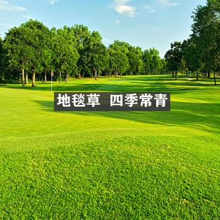 ��ƺ�������ò��o�¹������N���R������ƤͥԺ�G����̺���ļ�����