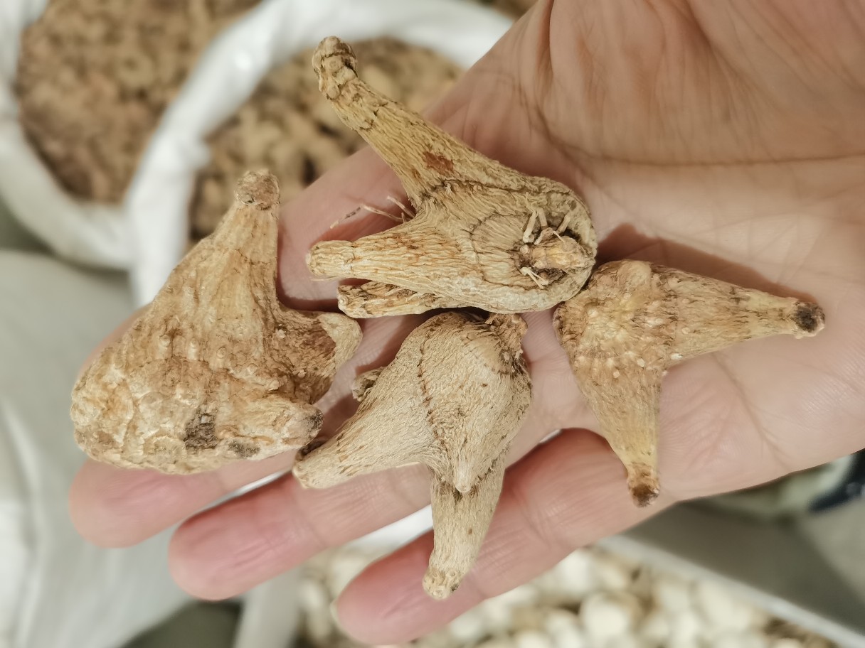 白芨 中药材产地直销 新货白芨个 白芨片-阿里巴巴
