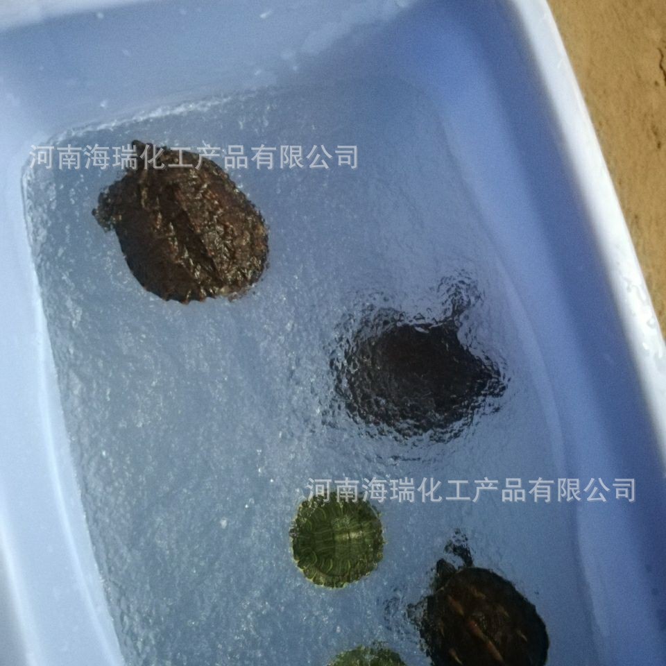 乌龟冬眠用SAP吸水树脂 吸水快速 保水透气 减少细滋生