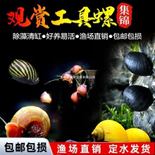 �^�p���O���ݺڽ����ʵ������ذ��R���[�坍���幤���ݻ��w��