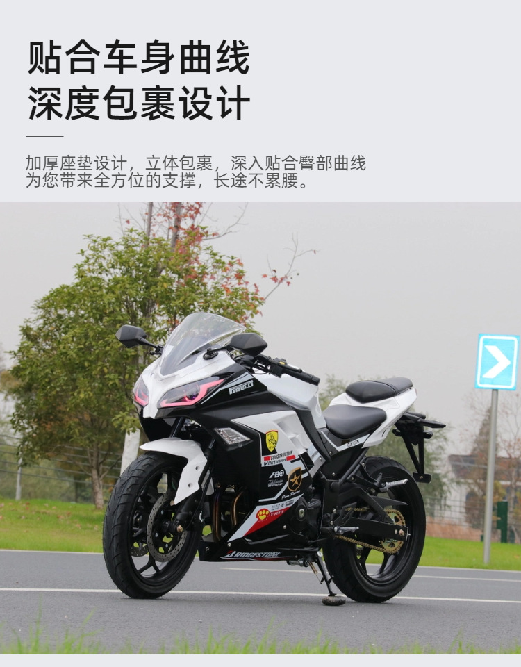 Customized Small Ninja Motorcycle Sports Car, Dual-Cylinder Water-Cooled 400Cc, National Iv Standard, Efi, Street Legal Motorcycle