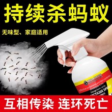 ���x�������҃����ș����ș���x��Λρ�nω�w�x����x���F߻�x��