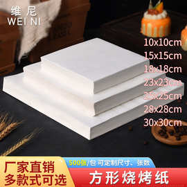 烧烤纸烤箱烘烤烤盘纸家用烘焙锡纸垫烤肉吸油纸食物纸包鱼专用纸