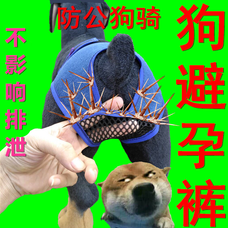 母狗生理裤子狗狗避孕月事裤物防骚扰狗绝育例假狗防交配衣服装宠