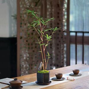 ����t�^�����辰����Gֲ���������̨С�����҃�ͥԺ�bt����