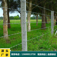 �����F�z�W�̽z�L�\���I䓽z�̾����K�W����\���K�WȦ���Bֳ�F؛