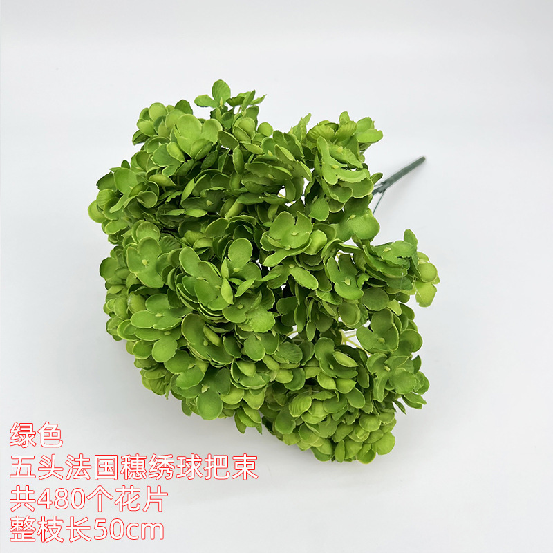 Cinco racimos de Hortensia de espiga francesa - verde