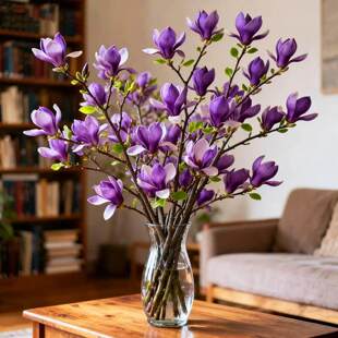 ���������m��ˮ���r�л����m�r֦�滨�^�껨�����Կ͏d�[��������