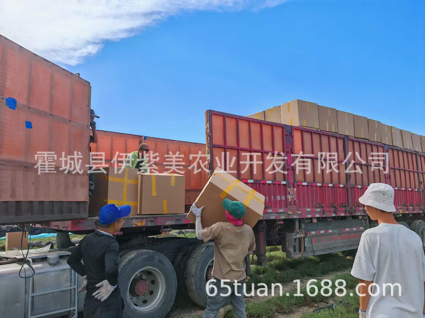 微信图片_20240711190945