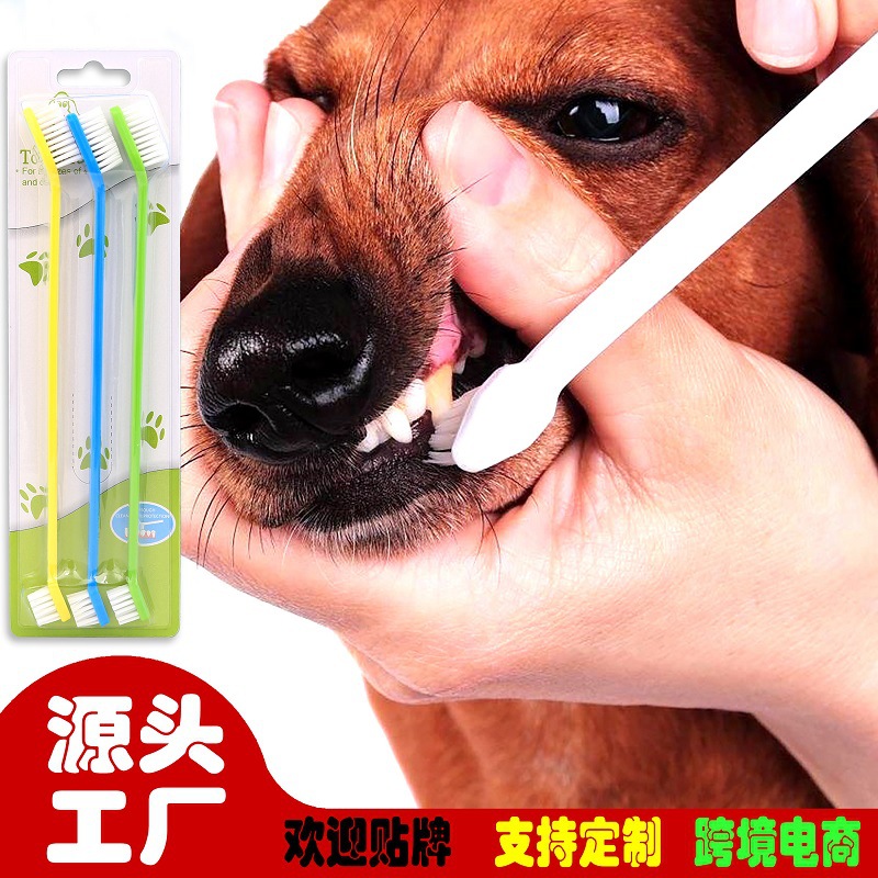 dog+tb-主图首图 -800