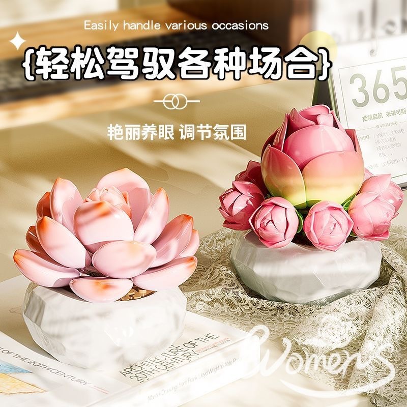 ペンローズ多肉植物ビルディングブロック花植物ビルディングブロック鉢植えデスクトップ装飾品ホリデーギフトビルディングブロック|undefined
