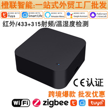 �羳���S�T�fWiFi�����b����+�؝���Z���h��RF433���ܼt���D�l��