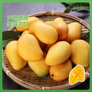 ���â�����r����С̨�râ���K�ك�â������o���̲����ˮ������