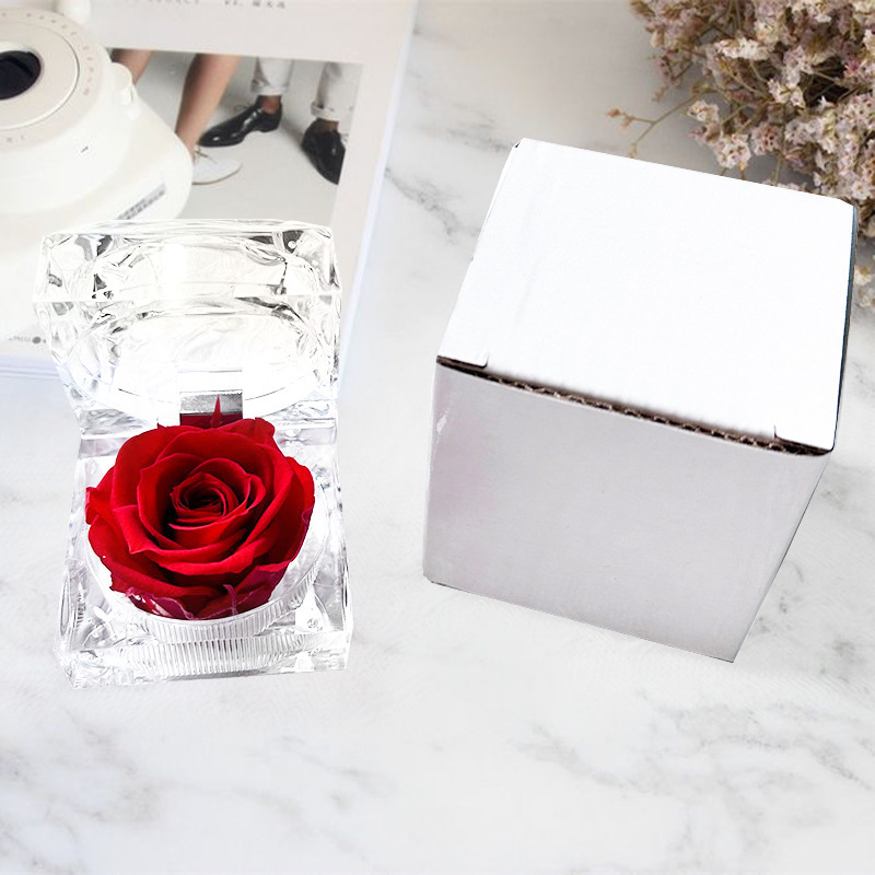 Caja de anillo acrílico transparente de rosa eterna confesión de flores verdaderas Qixiao regalo de día de San Valentín caja de regalo de anillo de vida eterna