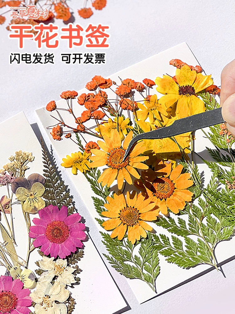 Подарки к Национальному дню натуральные растения сушеные цветы закладки diy Материал Листья ручная капающая наклейка образец пластиковой печати