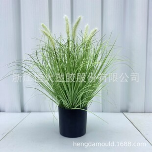 ����Gɫ�ذ�ֲ��,�ߴ�ļ�ֲ������,�m��춼Ҿ��b���d����Y