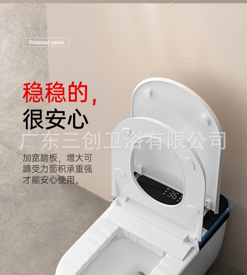 蹲坐二用智能马桶8012-详情页 (5).jpg