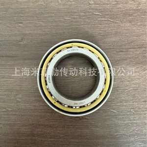 Rijin LIJIN SA-508519 automobile differential bearing gearbox bearing non-standard bearing